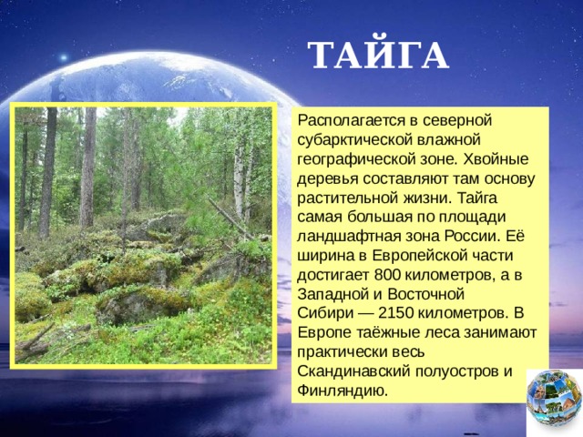 На каких территориях расположена тайга. Размер территории тайги. Деревья в субарктической зоне. Тайга самая большая по площади Ландшафтная зона России. Площадь тайги.