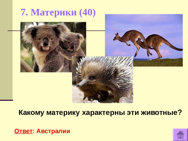 7. Материки (40)     Какому материку характерны эти животные?  Ответ : Австралии