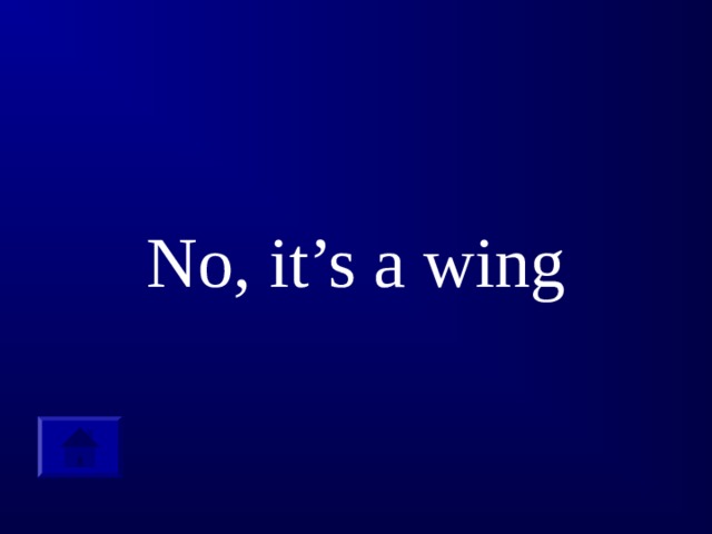 No, it’s a wing