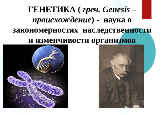 ГЕНЕТИКА ( греч. Genesis – происхождение ) - наука о закономерностях наследственности и изменчивости организмов