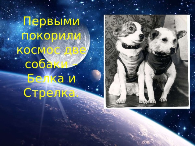 Первыми покорили космос две собаки –Белка и Стрелка.