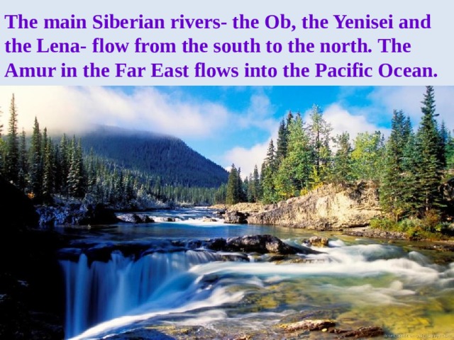 The main Siberian rivers- the Ob, the Yenisei and the Lena- flow from the south to the north. The Amur in the Far East flows into the Pacific Ocean.