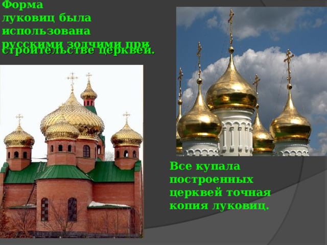 Форма  луковиц была использована  русскими зодчими при строительстве церквей. Все купала построенных церквей точная копия луковиц.