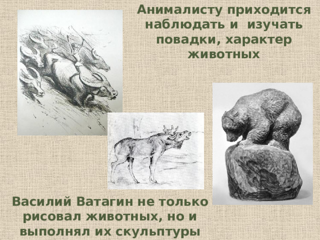 Анималисту приходится наблюдать и изучать повадки, характер животных Василий Ватагин не только рисовал животных, но и выполнял их скульптуры