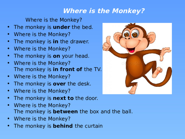 Where is the Monkey? Where is the Monkey?