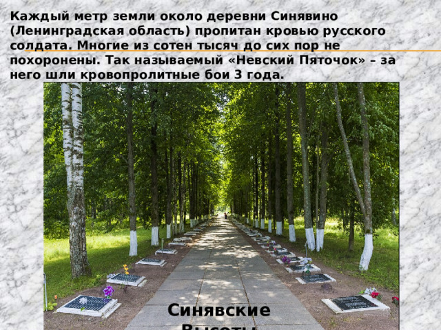 Каждый метр земли около деревни Синявино (Ленинградская область) пропитан кровью русского солдата. Многие из сотен тысяч до сих пор не похоронены. Так называемый «Невский Пяточок» – за него шли кровопролитные бои 3 года. Синявские Высоты