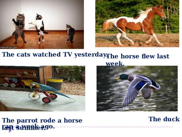 The сats watched TV yesterday. The horse flew last week.  The duck ran a week ago. The parrot rode a horse last summer.