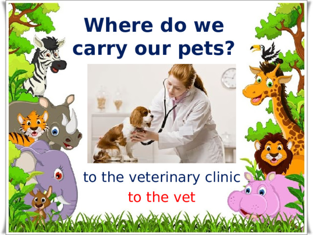 Where do we carry our pets? to the  veterinary  clinic to the vet