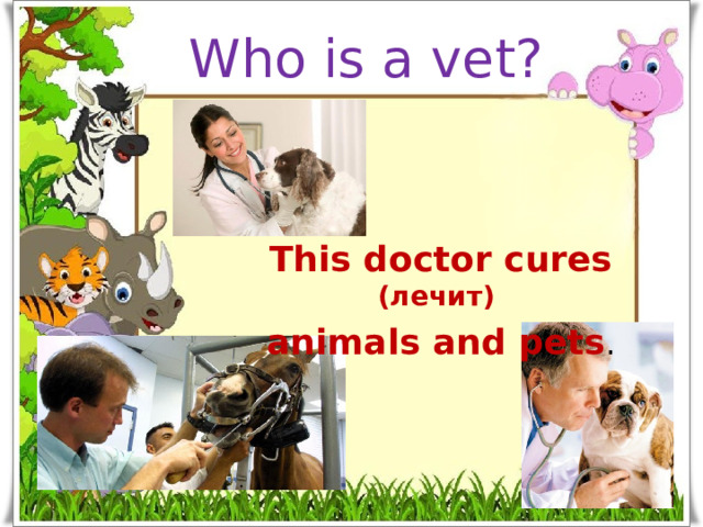 Who is a vet? This doctor cures (лечит)  animals and pets .