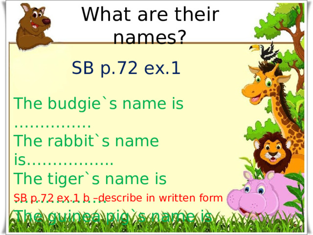 What are their names? SB p.72 ex.1 The budgie`s name is …………… The rabbit`s name is…………….. The tiger`s name is ……………… The guinea pig`s name is ………. The dog`s name is………………... SB p.72 ex.1 b –describe in written form