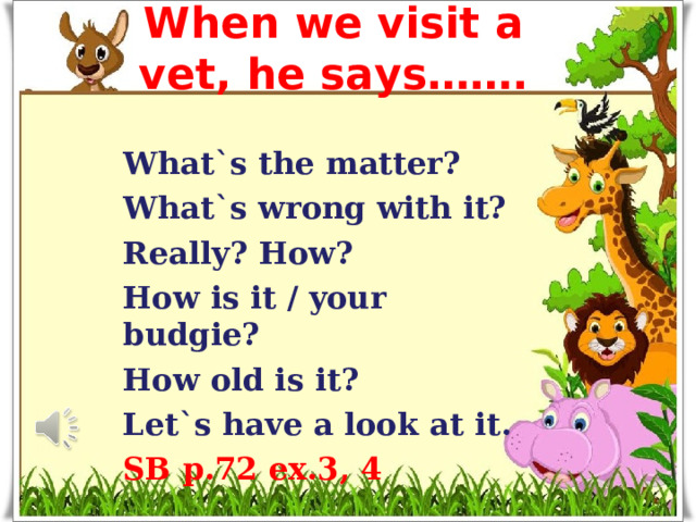 When we visit a vet, he says……. What`s the matter? What`s wrong with it? Really? How? How is it / your budgie? How old is it? Let`s have a look at it. SB p.72 ex.3, 4
