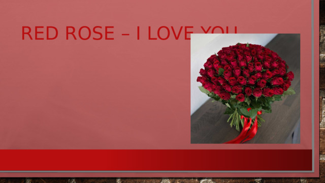 Red rose – I love you
