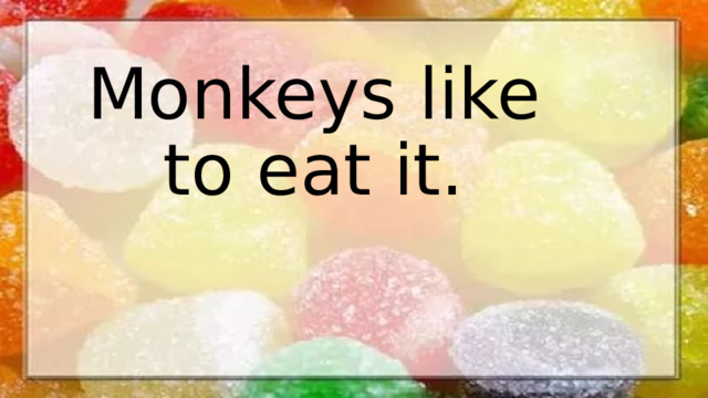 Monkeys like to eat it.