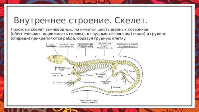 Тест по биологии 7 класс рептилии