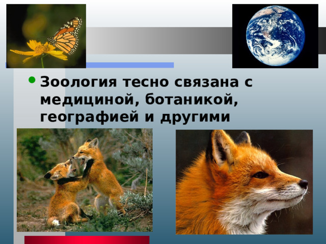 Зоология тесно связана с медициной, ботаникой, географией и другими науками.