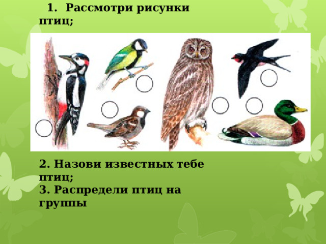 1. Рассмотри рисунки птиц;           2. Назови известных тебе птиц; 3. Распредели птиц на группы