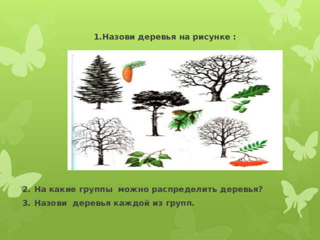 1.Назови деревья на рисунке :