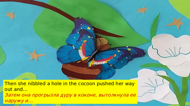 Then she nibbled a hole in the cocoon pushed her way out and… Затем она прогрызла дуру в коконе, вытолкнула ее наружу и…