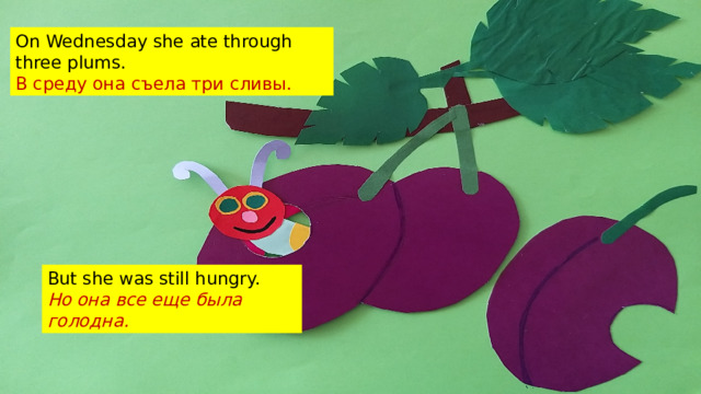 On Wednesday she ate through three plums. В среду она съела три сливы. But she was still hungry. Но она все еще была голодна.