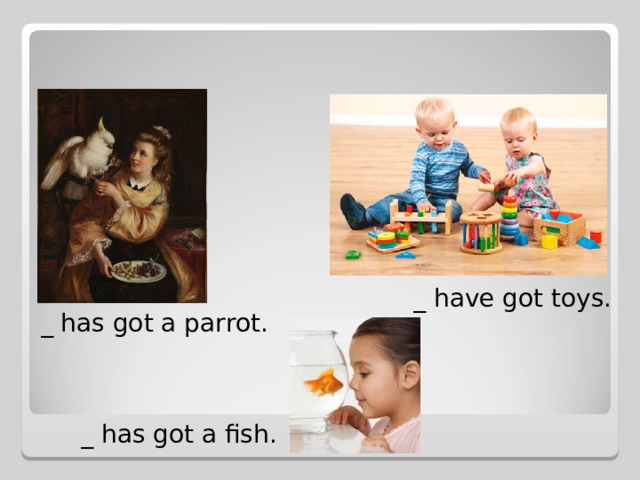 _ have got toys. _ has got a parrot. _ has got a fish.