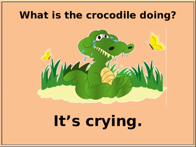 What is the crocodile doing? It’s crying.