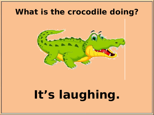 What is the crocodile doing? It’s laughing.