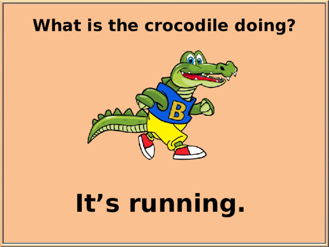 What is the crocodile doing? It’s running.