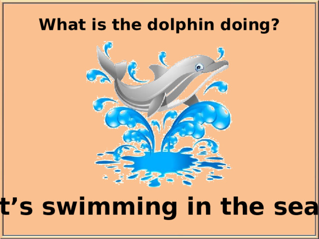 What is the dolphin doing? It’s swimming in the sea.