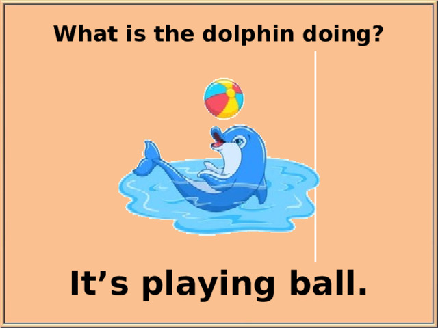What is the dolphin doing? It’s playing ball.