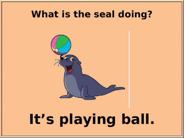 What is the seal doing? It’s playing ball.