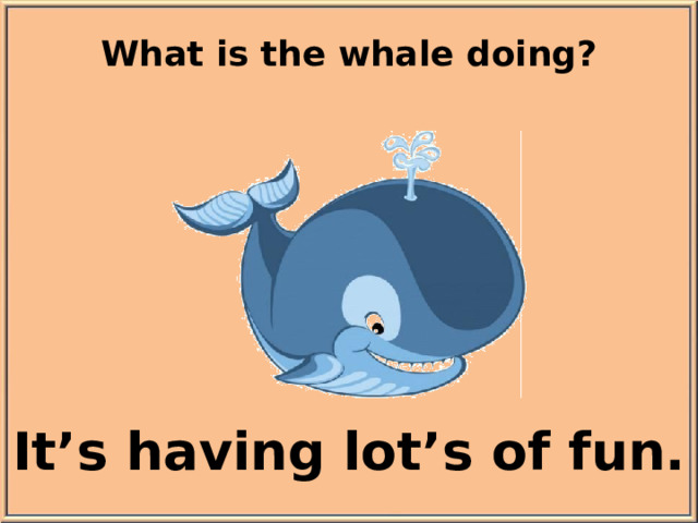 What is the whale doing? It’s having lot’s of fun.