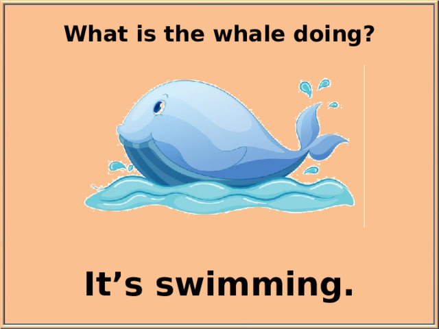 What is the whale doing? It’s swimming.
