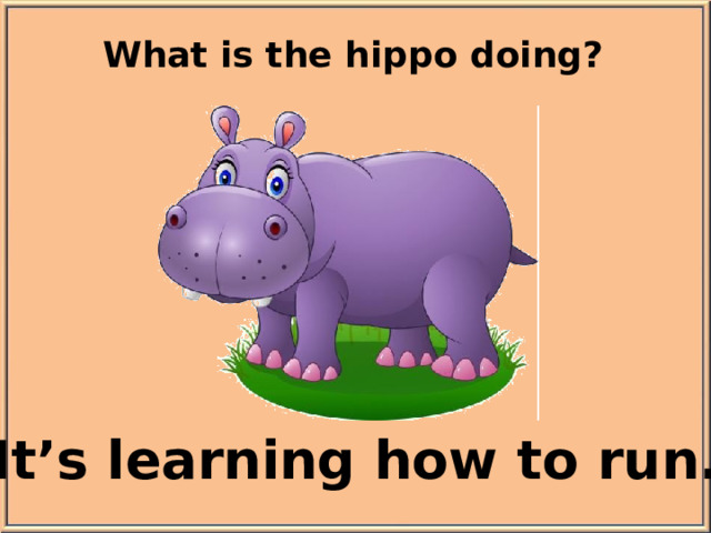 What is the hippo doing? It’s learning how to run.