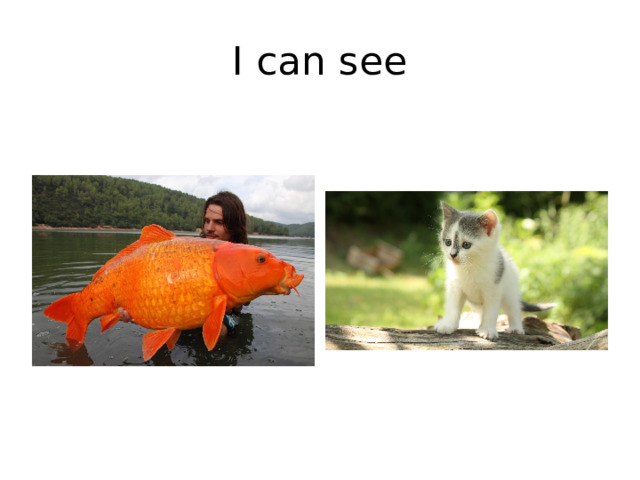 I can see