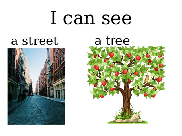 I can see a street a tree