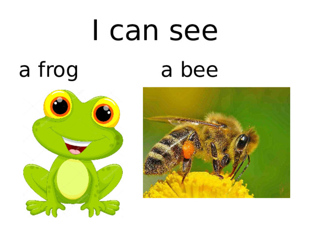 I can see a frog a bee