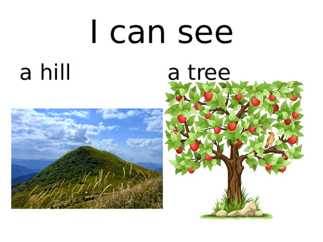 I can see a hill a tree