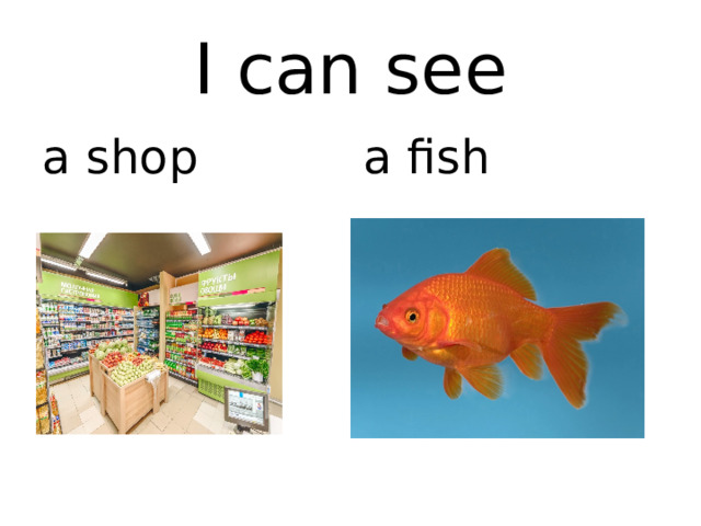 I can see a shop a fish