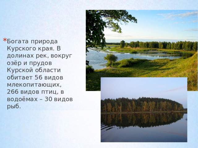Богата природа Курского края. В долинах рек, вокруг озёр и прудов Курской области обитает 56 видов млекопитающих, 266 видов птиц, в водоёмах – 30 видов рыб.