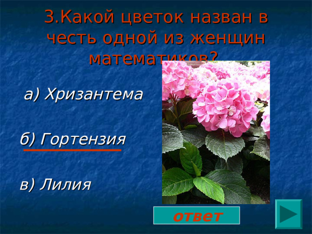 3.Какой цветок назван в честь одной из женщин математиков?   а) Хризантема  б) Гортензия  в) Лилия ответ