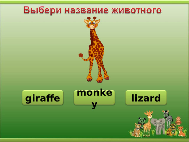 monkey giraffe lizard