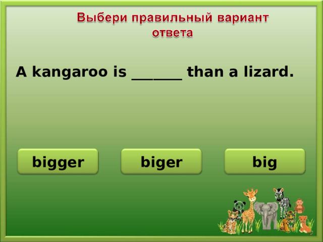 A kangaroo is _______ than a lizard. bigger biger big