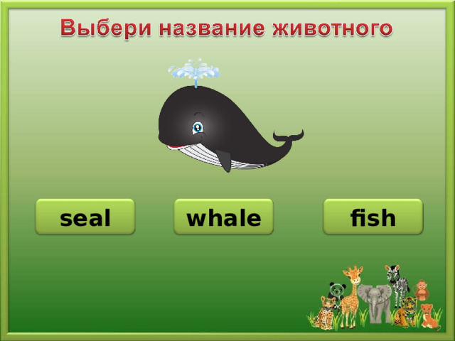 whale seal fish