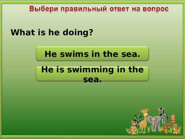 What is he doing? He swims in the sea. He is swimming in the sea.