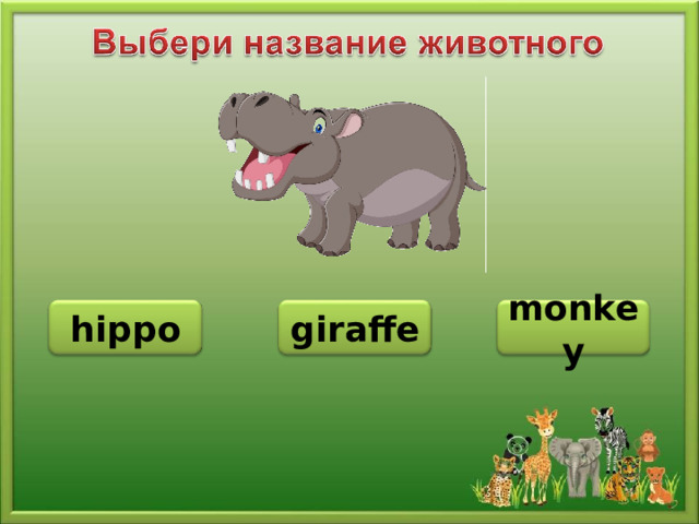 hippo giraffe monkey