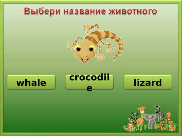 lizard whale crocodile