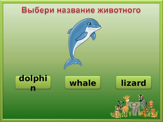 dolphin whale lizard