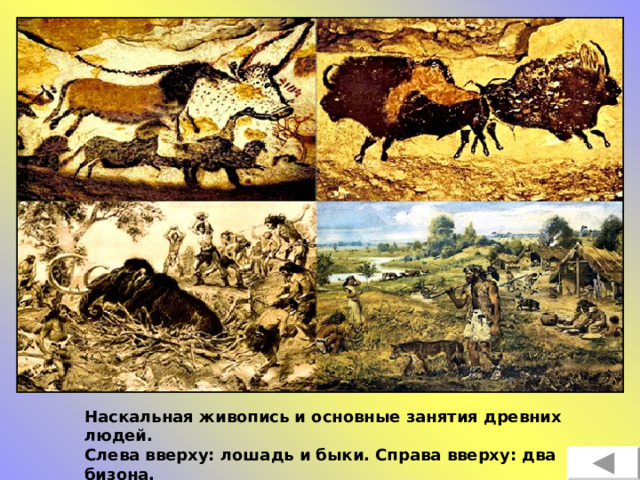 Наскальная живопись и основные занятия древних людей. Слева вверху: лошадь и быки. Справа вверху: два бизона.