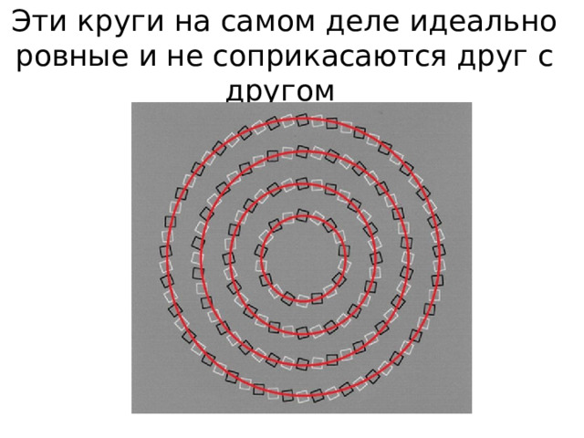 Эти круги на самом деле идеально ровные и не соприкасаются друг с другом