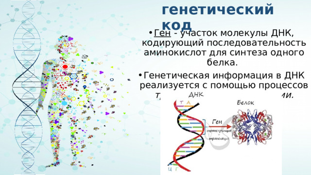 Ген и генетический код